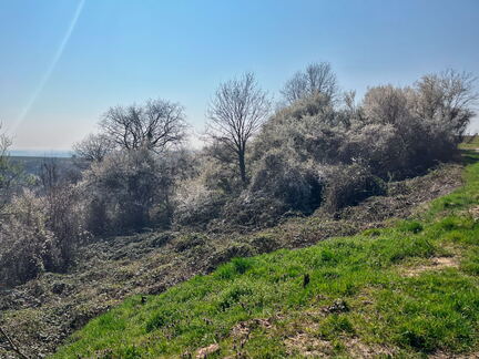 74BD89D7-42F3-4A4B-8D67-440BF18CE0F1-22244-000004E98D88BC8A